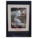 1941-63 Stan Musial Picture