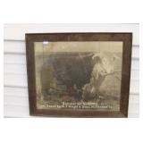 W.T. Wright & Sons Bull Picture