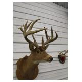 Very Untypical Wall Mount Buck