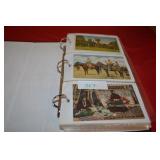 Native American Indian Postcard Lot in Binder