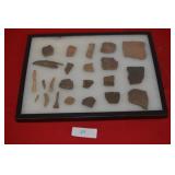 Artifact/ Fossil Collection