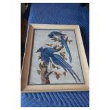 Vintage Paint by Numbers Framed Blue Jay