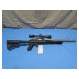 Ruger 10/22 .22 LR Custom