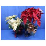 2 Live Poinsettias-Red & White