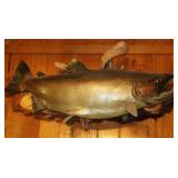 Mounted Salmon 32"L