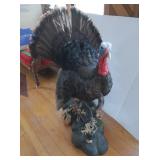 Mounted Full Body Turkey (walking) 37Hx35"W