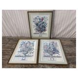 3 botanical month prints - January, September,