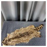 Q2 Raccoon Fur 14x38"