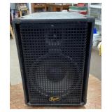 Squier speaker