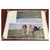 Vintage Pink Floyd Atom Heart Mother poster