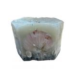 Seashell candle