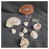 Group of sea shells , Brazilian agate ,