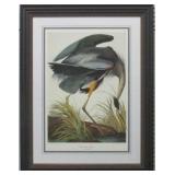 GREAT BLUE HERON BY JOHN J. AUDUBON