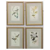 SET OF 4 ANTIQUE BIRDS BY JOHN J AUDUBON