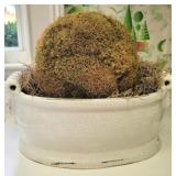 Planter w/ Moss Ball