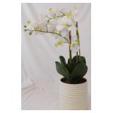 Faux Orchid - 24" Tall