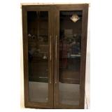 2 Door Curio with Lights 80x16x48