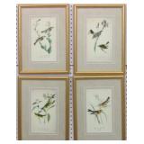 4 ANTIQUE BIRDS BY JOHN J AUDUBON