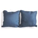 2 Throw pillows - 15" x 15"