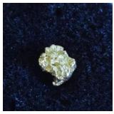 Alaska Gold Nugget #3