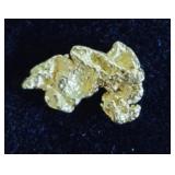 Alaska Gold Nugget #2