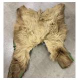 Hair on Hide Bear Rug