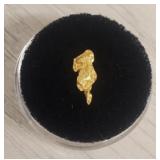 Alaska Gold Nugget #14