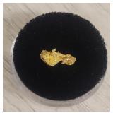 Alaska Gold Nugget #13