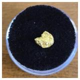 Alaska Gold Nugget #16