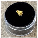 Natural Alaska Gold Rush Nugget #9