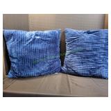 (2) 22x22 Blue Throw Pillows