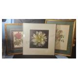 Framed flower art prints