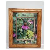 Echinacea Purple Coneflower