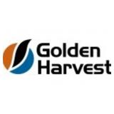 Golden Harvest Seed Corn 6 bags