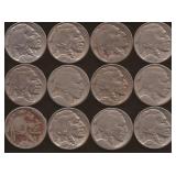 Buffalo Nickels (12)