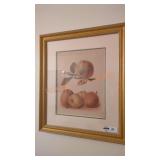 Framed framed fruit art pair