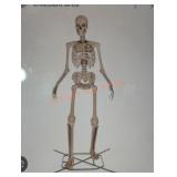 12ft Grave & Bones Giant Sized Skelly