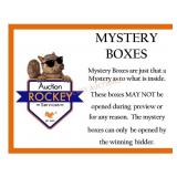 MYSTERY BOX - INFORMATION ONLY