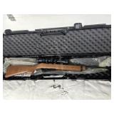 Ruger 10/22 .22 cal rifle