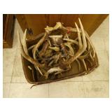 Box of Antlers