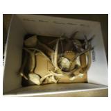 Box of Antlers