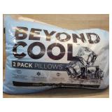 Beyond cool  2 pack pillows