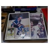 Hockey collectible