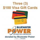 Three (3) $100 Visa Gift Cards ï¿½ donated by