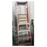 Werner Ladder with Platform