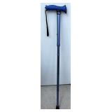 blue cane