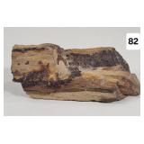 Petrified Wood