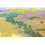 Farmland Auction 531ï¿½ Ac  for Leonard & Anni Schaefer Trust