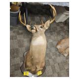 DEER MOUNT. MOUNTED BY SCHWARZ STUDIO, INC