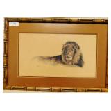 72 LION LITHO BAMBOO FRAMED by Gilbert Dairen 19 X